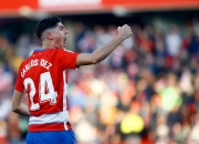 开云体育中国-格拉纳达在胜利中发出胜利的呼声的简单介绍