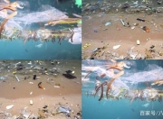 开云体育登录-尼斯防守惨遭破坏，队内反思重整的简单介绍