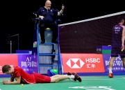 开云体育APP下载-关于中国队鏖战法国队，安赛龙统治全场的信息