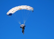 开云体育下载-特奥末节接管比赛，尼斯狂胜喀麦隆