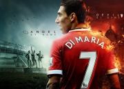 开云体育APP下载-凤凰涅槃，太阳淘汰雄鹿，照亮冠军之路