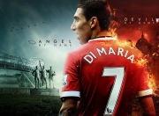 开云体育APP下载-凤凰涅槃，太阳淘汰雄鹿，照亮冠军之路