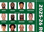 开云体育官方网站-凯尔特人绝杀巴西男篮，西蒙斯统治全场的简单介绍