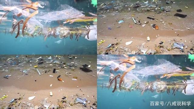 尼斯防守惨遭破坏,队内反思重整的简单介绍 尼斯防守惨遭破坏,队内反思重整的简单介绍