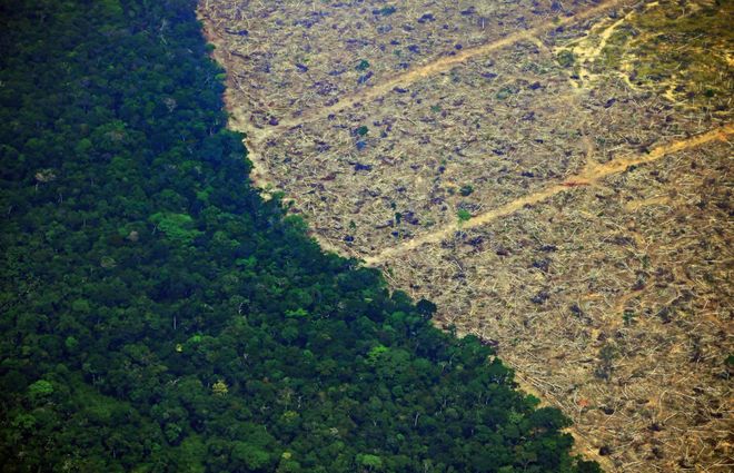 尼斯防守惨遭破坏,队内反思重整的简单介绍 尼斯防守惨遭破坏,队内反思重整的简单介绍